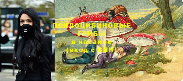 apvp Заволжье
