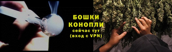 прущий лед Заводоуковск