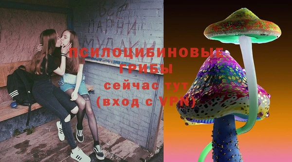 дурь Заволжск