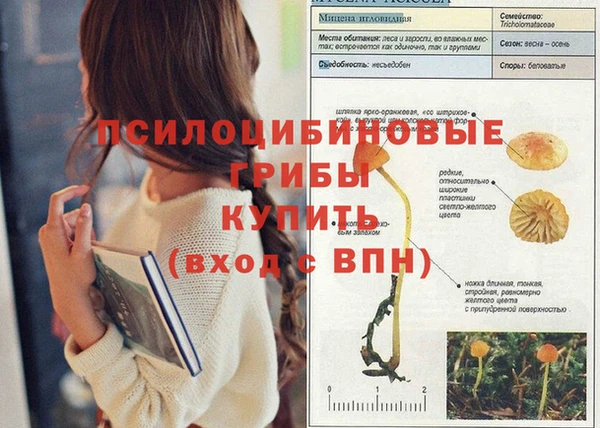 дурь Заволжск