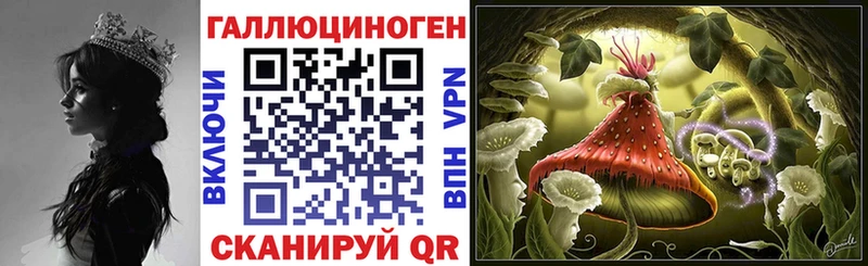 Псилоцибиновые грибы MAGIC MUSHROOMS Купить закладки Калининец